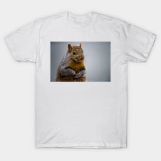 Grey Squirrel T-Shirt